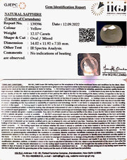 12.17 Carat Natural Ceylonese Pukhraj with Govt Lab Certificate-6771